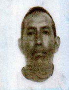 11 GALO GERMANICO MUZO AYALA